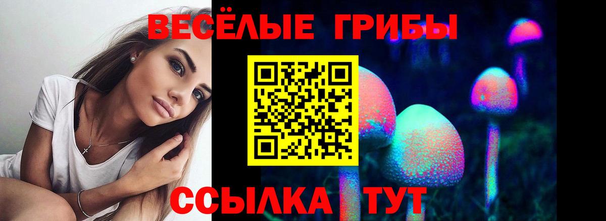 Галлюциногенные грибы прущие грибы Артёмовский